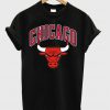Chicago Bulls T-Shirt.jpg