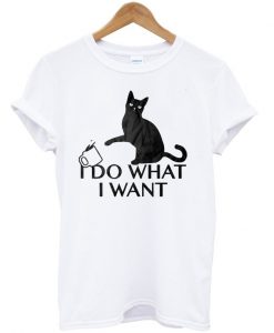 I Do What I Want T-shirt