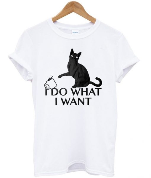 I Do What I Want T-shirt