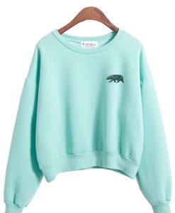 bear sweatshirt