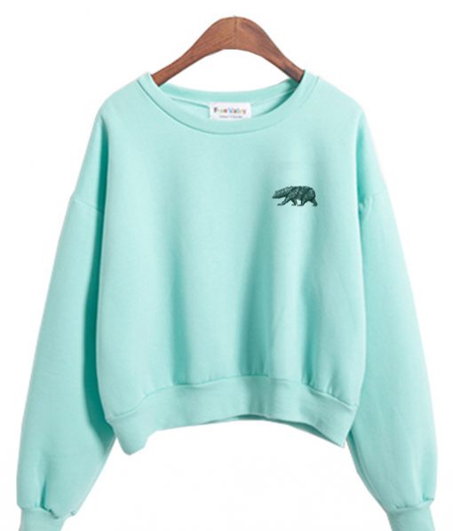 bear sweatshirt