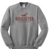 hollister california logo sweatshirt
