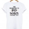 i'm promoted to big sister november 2018 T-shirt