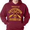 property of gryffindor quidditch hoodie