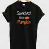 sweet little pumpkin t-shirt