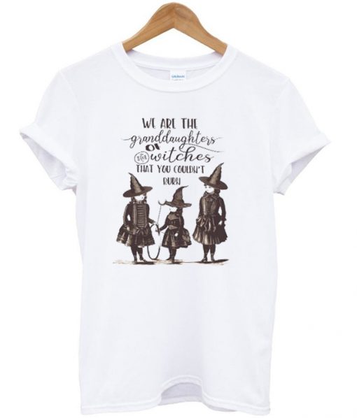 We Are the Granddaughters of the Witches That You Couldn't Burn Ladies T-shirt