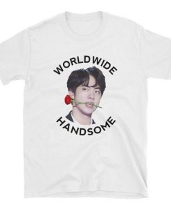 Worldwide Handsome BTS Jin T-Shirts RE23