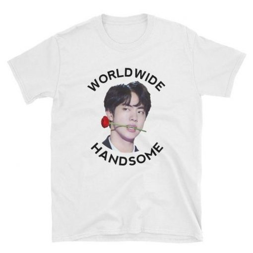 Worldwide Handsome BTS Jin T-Shirts RE23