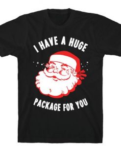 I Have A Huge Package For You Santa Tshirt ZX03