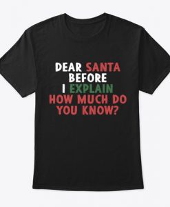 Dear Santa Before I Explain Funny T-Shirt IGS