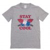 Stay Cool 4th of July T-Shirt RE23