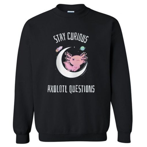 STAY CURRIOUS SWEATSHIRT RE23