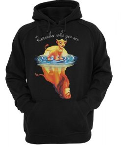 THE LION KING REMEMBER WHO YOU ARE HOODIE DN23