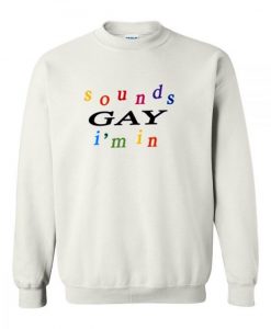 SOUNDS GAY I'M IN SWEATSHIRT DR23