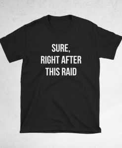 SURE RIGHT AFTER THIS RAID T-SHIRT DX23