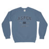 Aspen Colorado CO sweatshirt drd