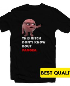 Lil Dicky Brain This Bitch Don’t Know Bout Pangea T-Shirt