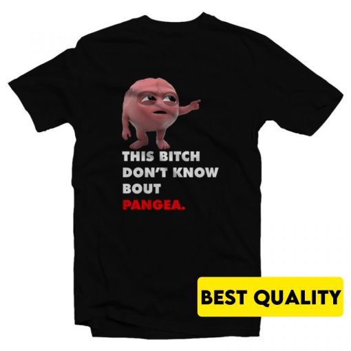 Lil Dicky Brain This Bitch Don’t Know Bout Pangea T-Shirt