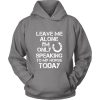 Leave Me Alone I'm Only Speaking To My Horse Today Hoodie