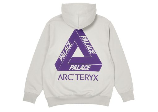 Arcteryx Palace Hoodie Back